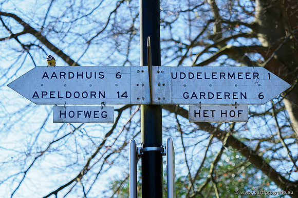 Bekenstelsel rondom Uddel en Elspeet 210320-223