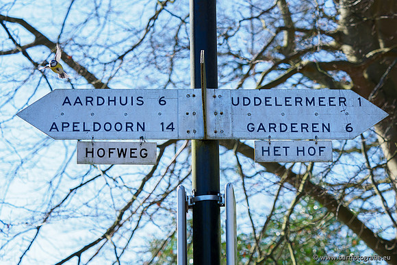 Bekenstelsel rondom Uddel en Elspeet 210320-224
