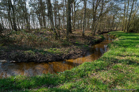 Bekenstelsel rondom Uddel 290320-004