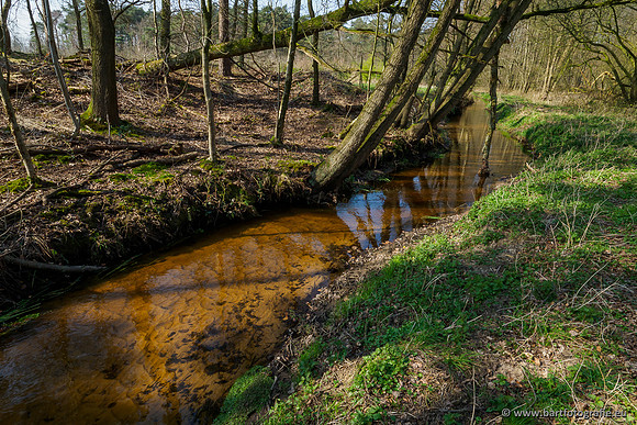 Bekenstelsel rondom Uddel 290320-007
