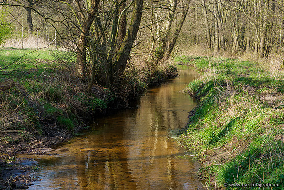 Bekenstelsel rondom Uddel 290320-008