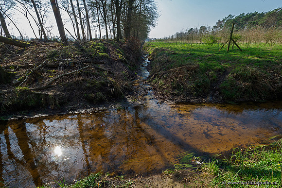 Bekenstelsel rondom Uddel 290320-009