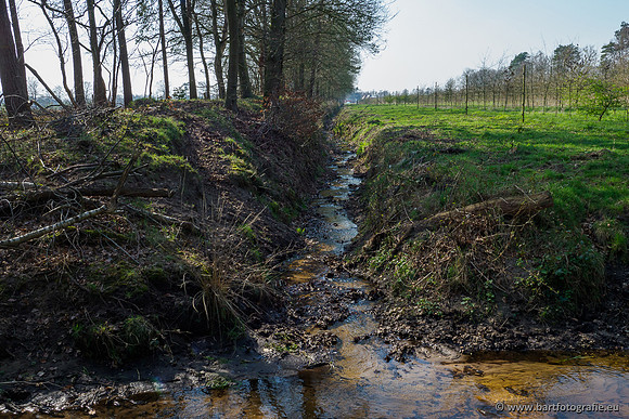 Bekenstelsel rondom Uddel 290320-010