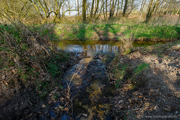 Bekenstelsel rondom Uddel 290320-013