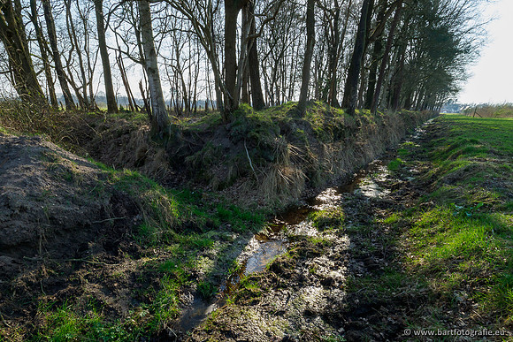 Bekenstelsel rondom Uddel 290320-015