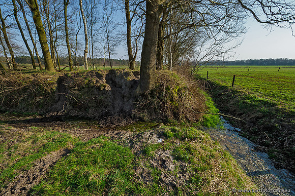Bekenstelsel rondom Uddel 290320-016