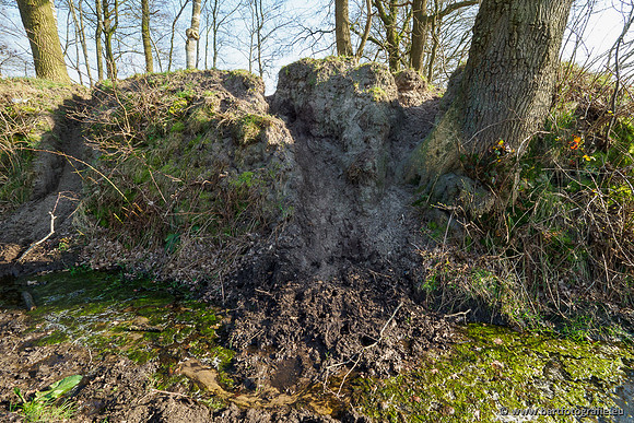 Bekenstelsel rondom Uddel 290320-018