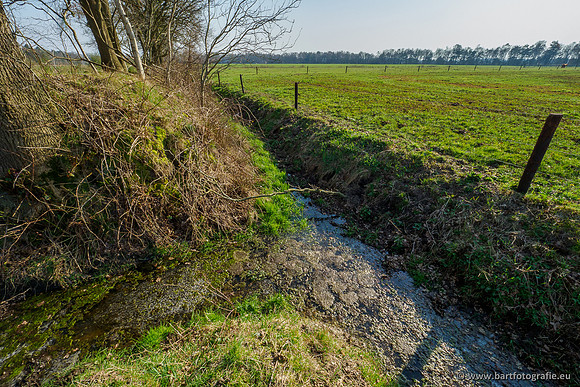 Bekenstelsel rondom Uddel 290320-019
