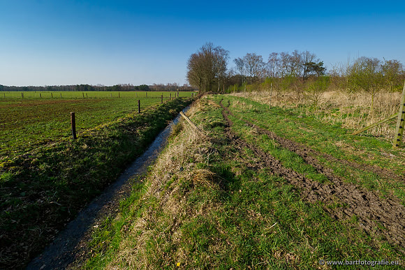 Bekenstelsel rondom Uddel 290320-020