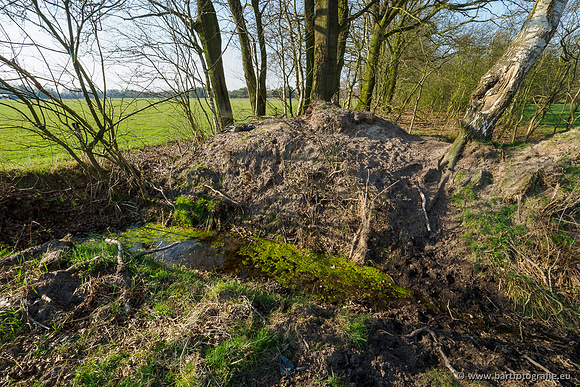 Bekenstelsel rondom Uddel 290320-021