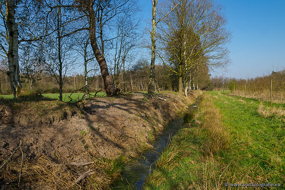 Bekenstelsel rondom Uddel 290320-022