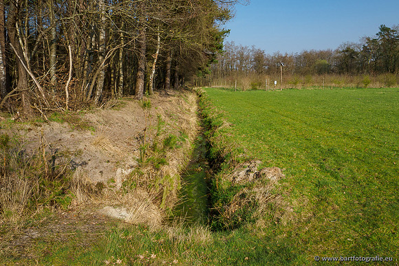 Bekenstelsel rondom Uddel 290320-024