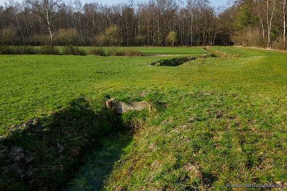 Bekenstelsel rondom Uddel 290320-027