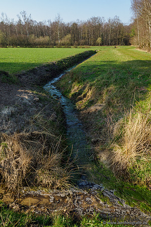 Bekenstelsel rondom Uddel 290320-026