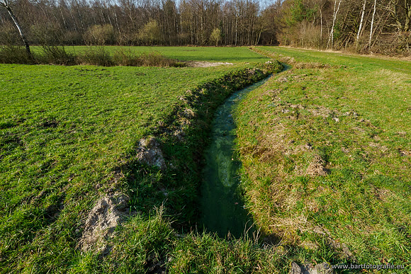 Bekenstelsel rondom Uddel 290320-028