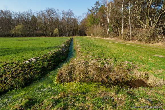 Bekenstelsel rondom Uddel 290320-029