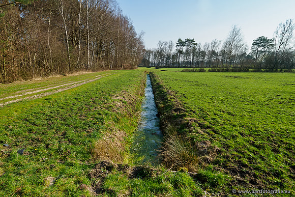 Bekenstelsel rondom Uddel 290320-030