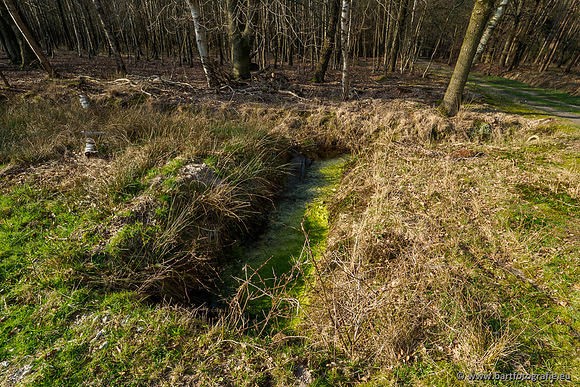 Bekenstelsel rondom Uddel 290320-031