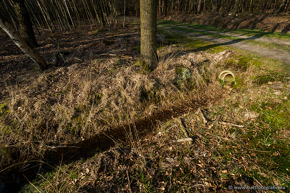 Bekenstelsel rondom Uddel 290320-032