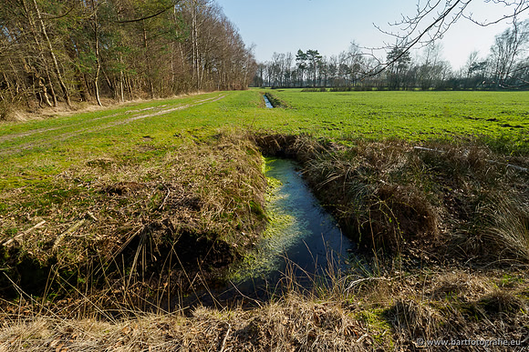 Bekenstelsel rondom Uddel 290320-033