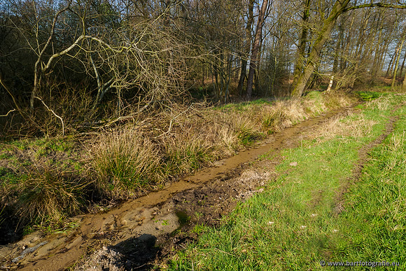 Bekenstelsel rondom Uddel 290320-034