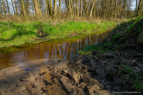 Bekenstelsel rondom Uddel 290320-035