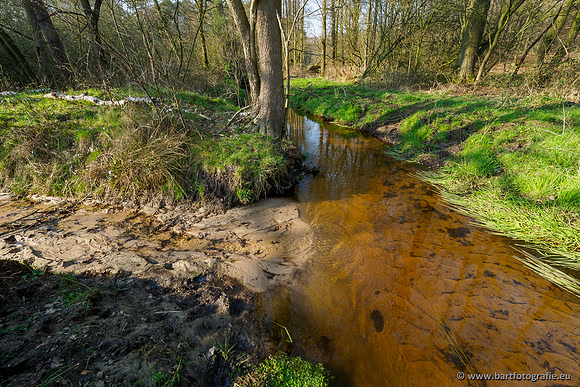Bekenstelsel rondom Uddel 290320-036