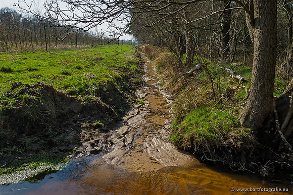 Bekenstelsel rondom Uddel 290320-039
