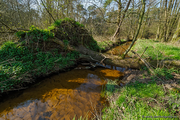 Bekenstelsel rondom Uddel 290320-041
