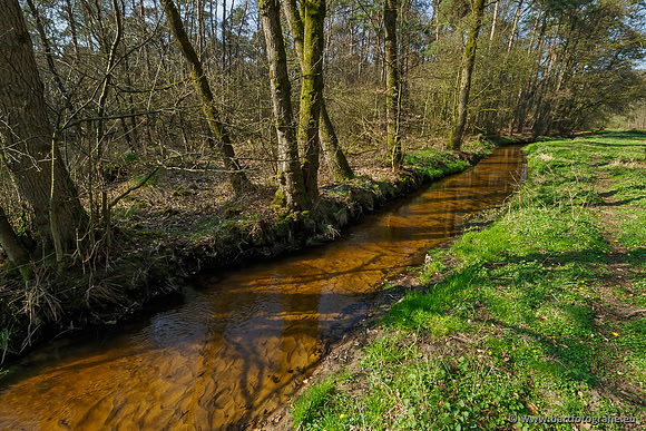 Bekenstelsel rondom Uddel 290320-042