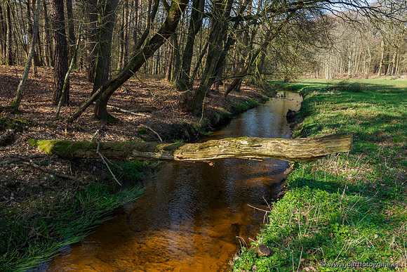 Bekenstelsel rondom Uddel 290320-043