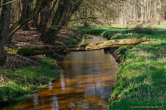 Bekenstelsel rondom Uddel 290320-044