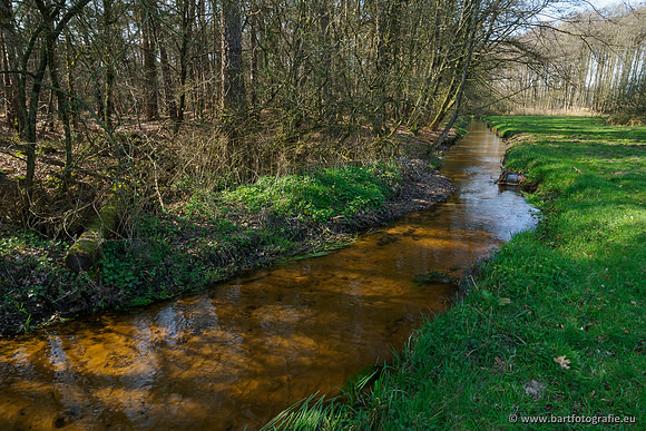 Bekenstelsel rondom Uddel 290320-045