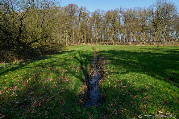 Bekenstelsel rondom Uddel 290320-048
