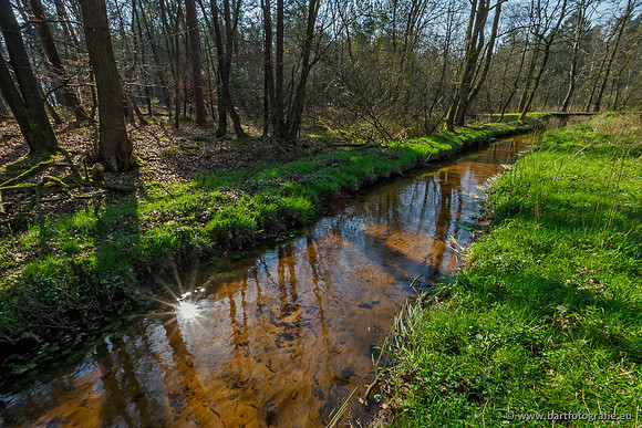 Bekenstelsel rondom Uddel 290320-053