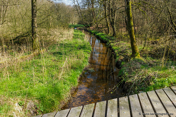 Bekenstelsel rondom Uddel 290320-055