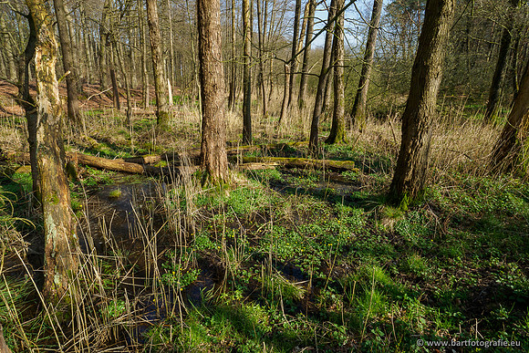 Bekenstelsel rondom Uddel 290320-057