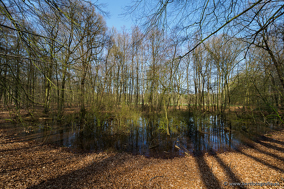 Bekenstelsel rondom Uddel 290320-058