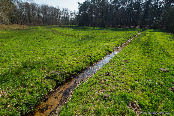 Bekenstelsel rondom Uddel 290320-059