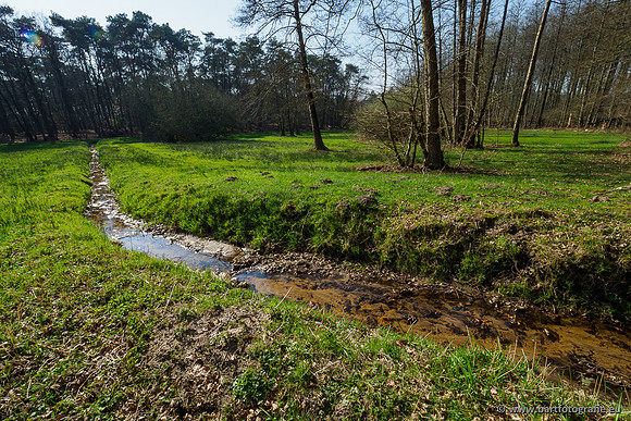 Bekenstelsel rondom Uddel 290320-060