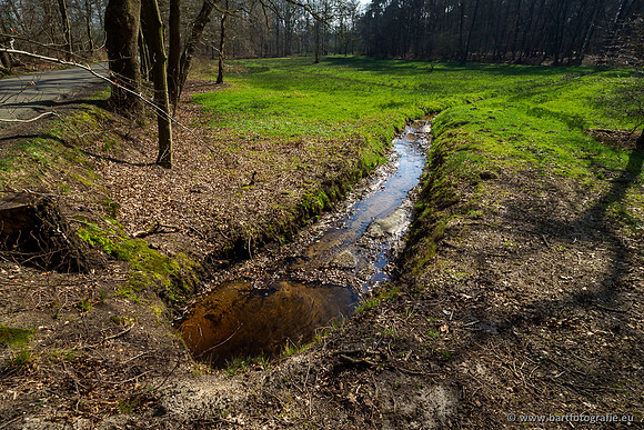 Bekenstelsel rondom Uddel 290320-061