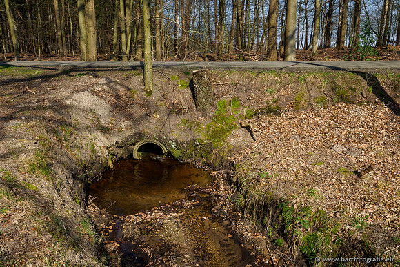 Bekenstelsel rondom Uddel 290320-062