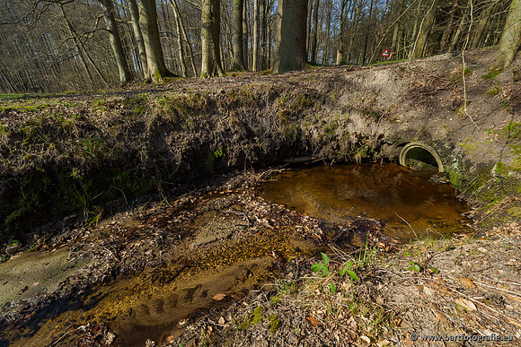 Bekenstelsel rondom Uddel 290320-063