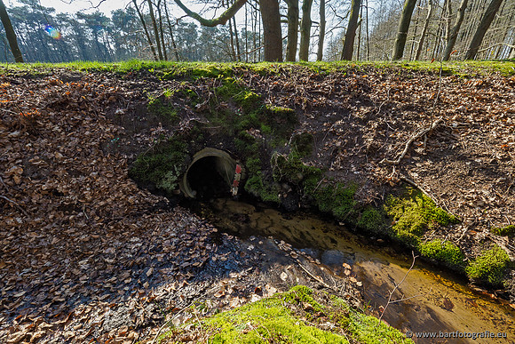 Bekenstelsel rondom Uddel 290320-064