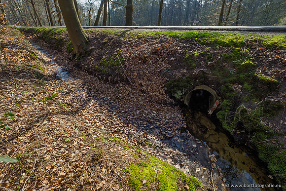 Bekenstelsel rondom Uddel 290320-065