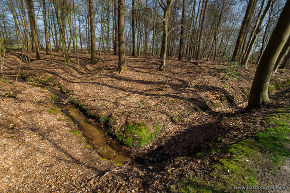 Bekenstelsel rondom Uddel 290320-066
