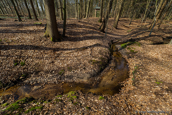 Bekenstelsel rondom Uddel 290320-068