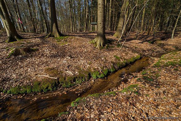 Bekenstelsel rondom Uddel 290320-067
