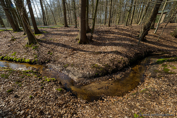Bekenstelsel rondom Uddel 290320-069