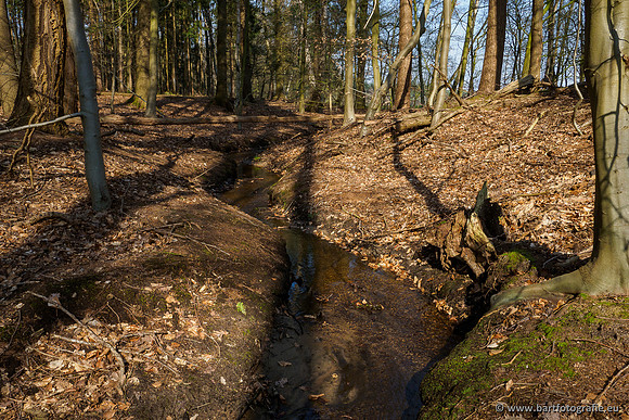 Bekenstelsel rondom Uddel 290320-070